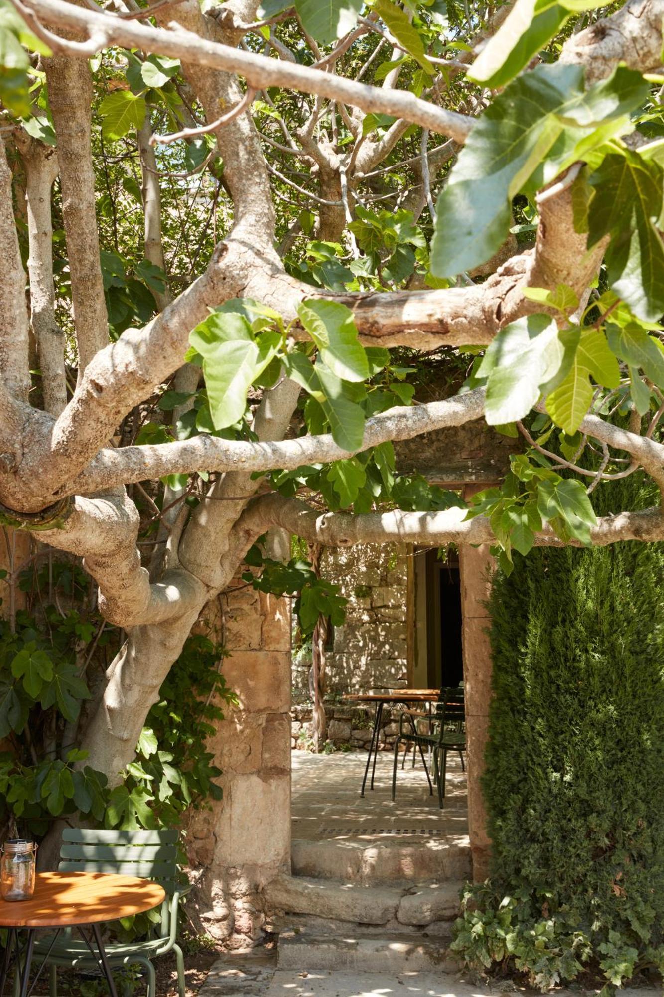오뻬드 La Bastide Du Mourre B&B 외부 사진
